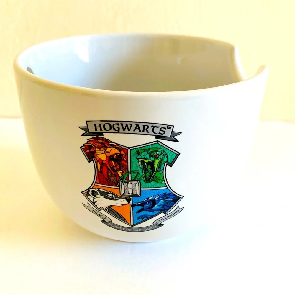Harry Potter Hogwarts 20 oz Ceramic Ramen Bowl Dark Academia Fantasy Magical